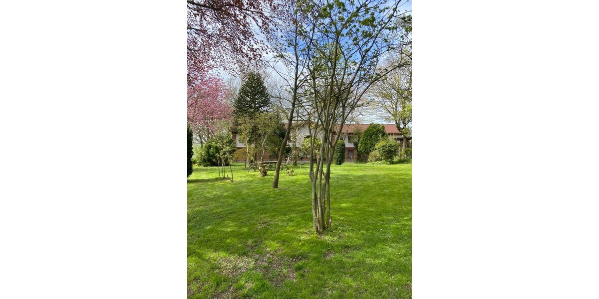 Licht , Sonne , Komfort , wohnen , wo es Spaß macht! - Appartement Mittelangeln Alt Rehberg | Angebot:26624612