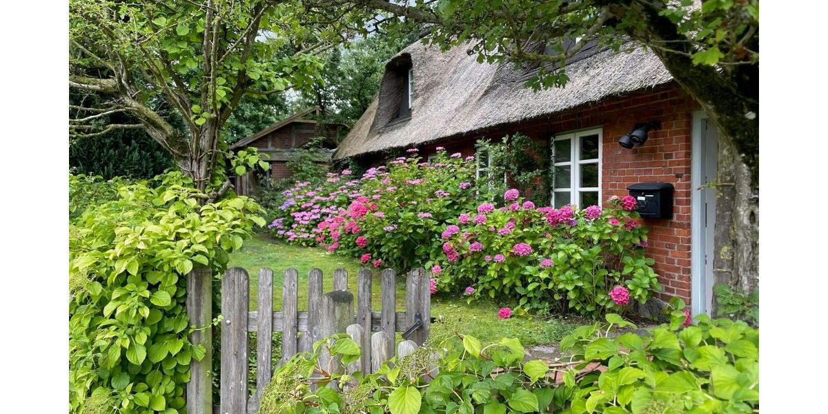 Traumhaftes Reetdach-Ein-Zweifamilienhaus mit parkähnlichem Garten in Angeln - Zweifamilienhaus Scheggerott | Angebot:26565370