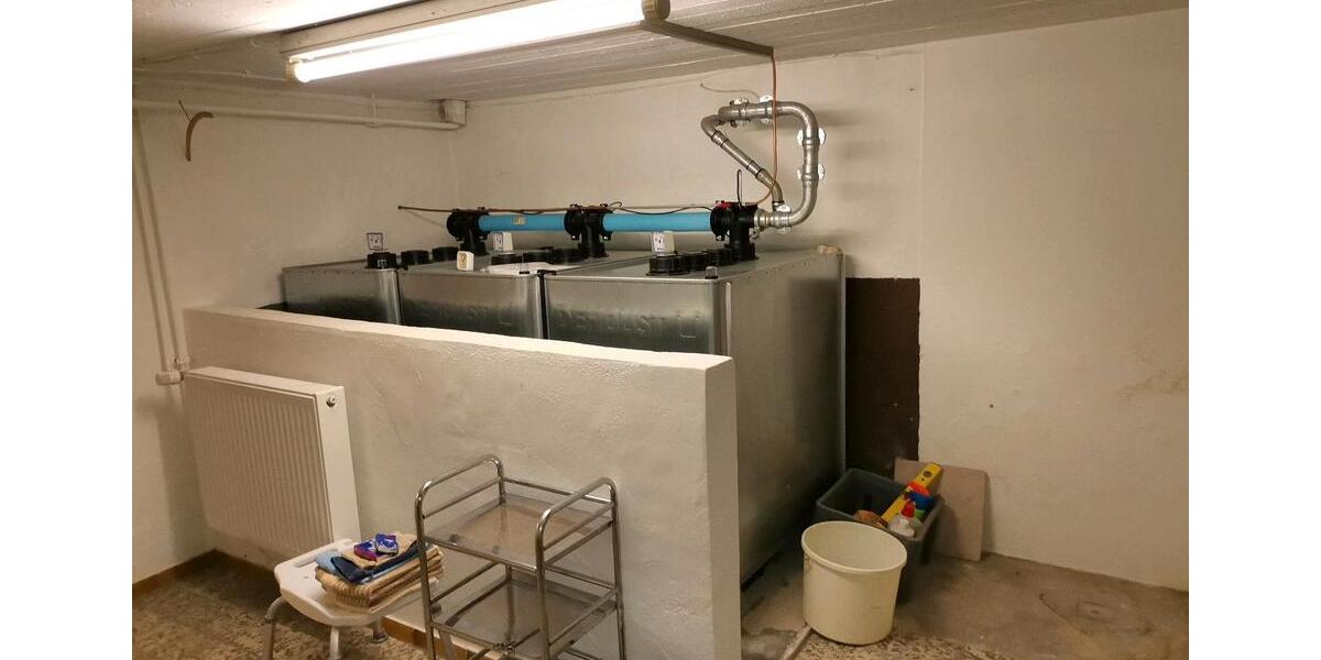 Einfamilienhaus Mittelangeln - 5 Zimmer, 123 m&sup2;, 243.000&euro; | Angebot:25299454