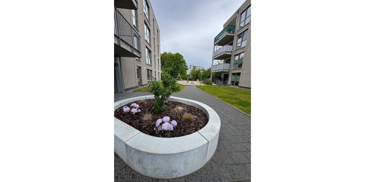 Etagenwohnung Flensburg Fruerlund - 2 Zimmer, 50 m&sup2;, 650&euro; | Angebot:26633272