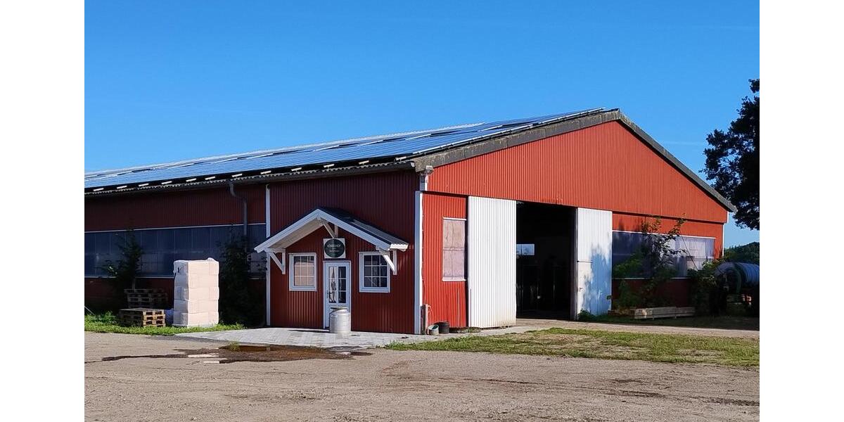 Bauernhaus, Landhaus Handewitt Jarplund - 8 Zimmer, 243 m&sup2;, 2.000.000&euro; | Angebot:24839361