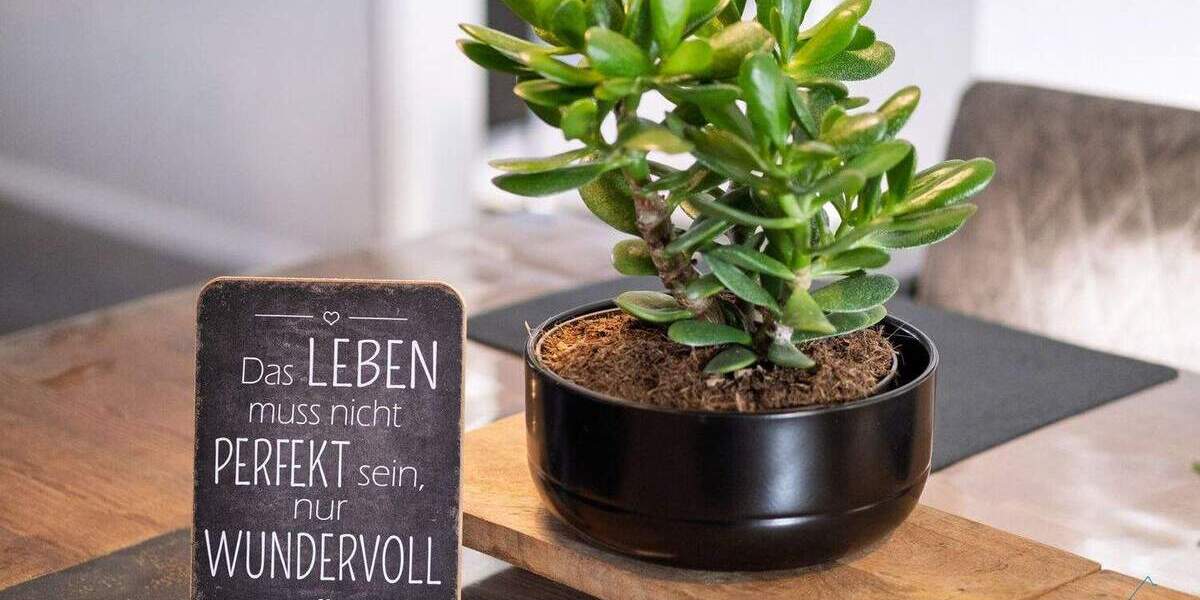 Bungalow Meyn - 4 Zimmer, 181 m&sup2;, 679.000&euro; | Angebot:25769185