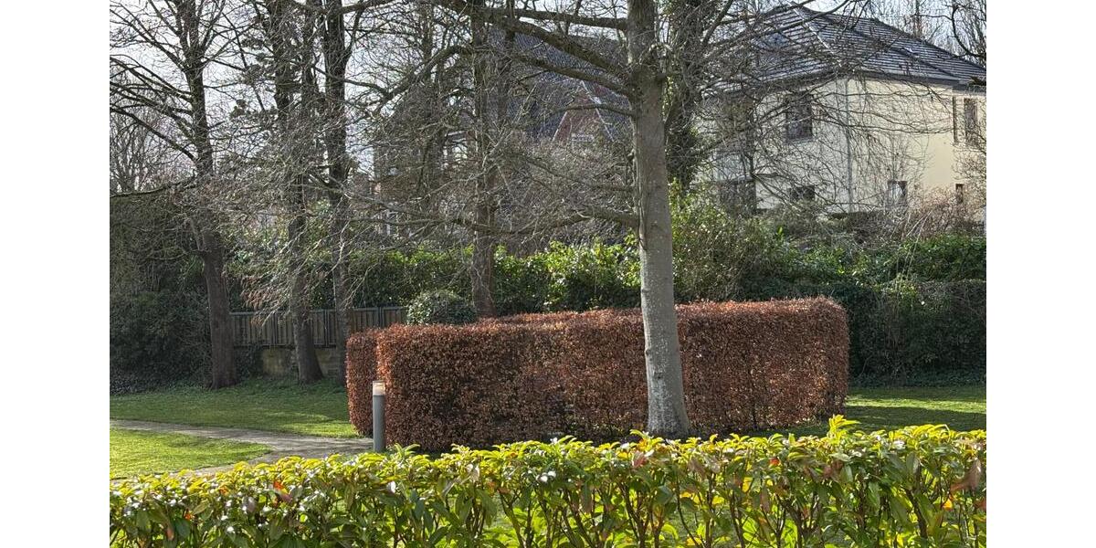 Etagenwohnung Flensburg Altstadt - 4 Zimmer, 113 m&sup2;, 1.450&euro; | Angebot:25921078