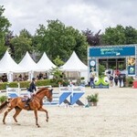 Springflut Festival 2026 - Tagesveranstaltung