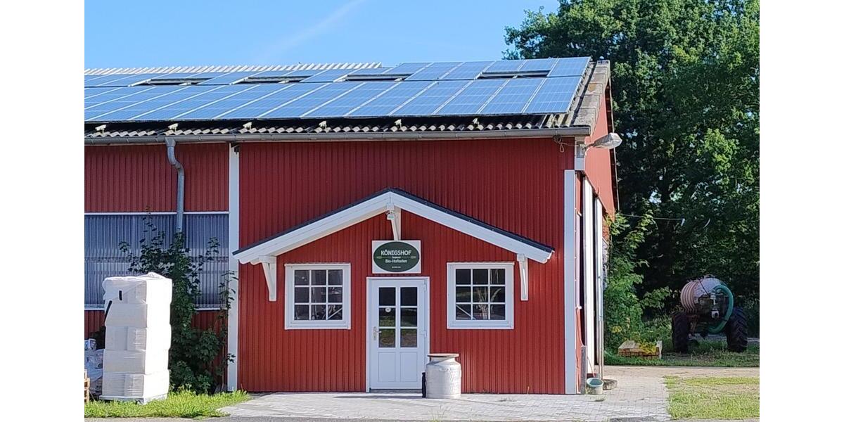 Bauernhaus, Landhaus Handewitt Jarplund - 8 Zimmer, 243 m&sup2;, 2.000.000&euro; | Angebot:24839361