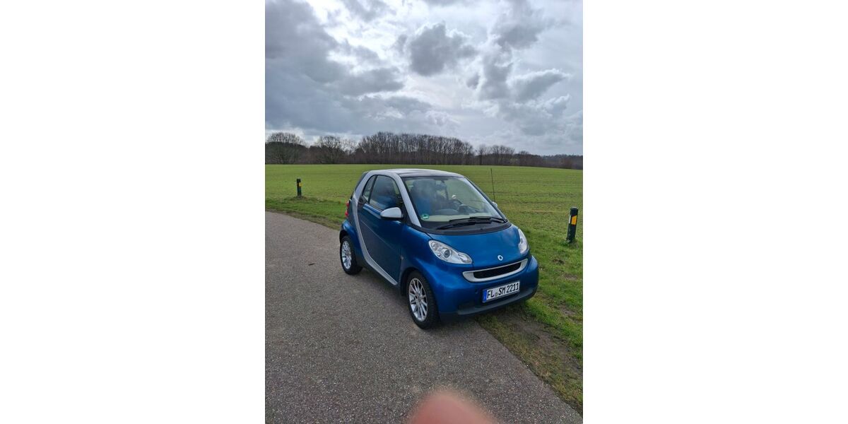 Smart Andere 134.000 km 2.950 &euro; Flensburg 24939