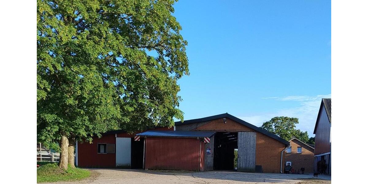 Bauernhaus, Landhaus Handewitt Jarplund - 8 Zimmer, 243 m&sup2;, 2.000.000&euro; | Angebot:24839361