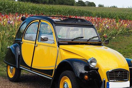 Citroen 2 CV 74.000 km 22.500 &euro; Mittelangeln 24986