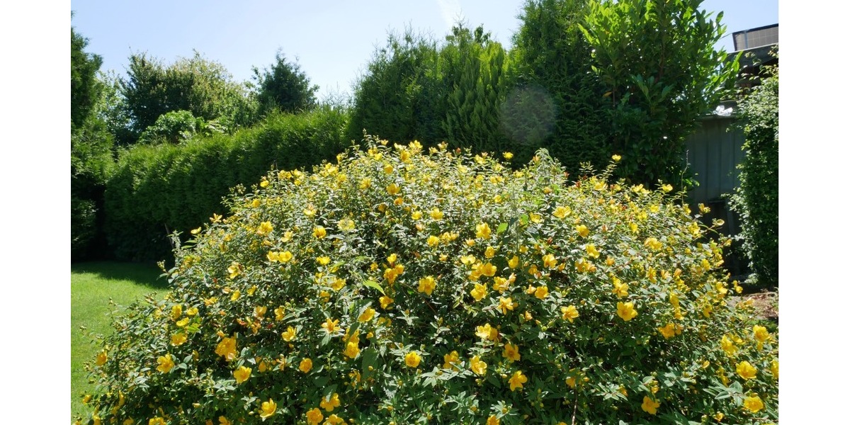 Im schönen Angeln! Gepflegter Bungalow in ruhiger Lage in 24972 Steinbergkirche zu verkaufen. - Einfamilienhaus Steinbergkirche | Angebot:21383723