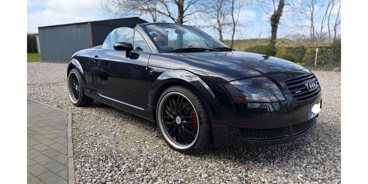 Audi TT 239.500 km 8.500 &euro; Handewitt 24983