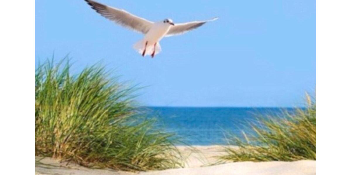 Einfamilienhaus Großenwiehe - 4 Zimmer, 125 m&sup2;, 520.000&euro; | Angebot:25917266