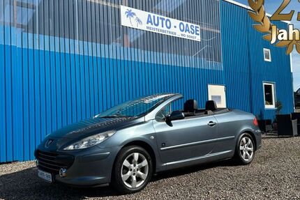 Peugeot 307 161.455 km 4.990 &euro; Flensburg 24941