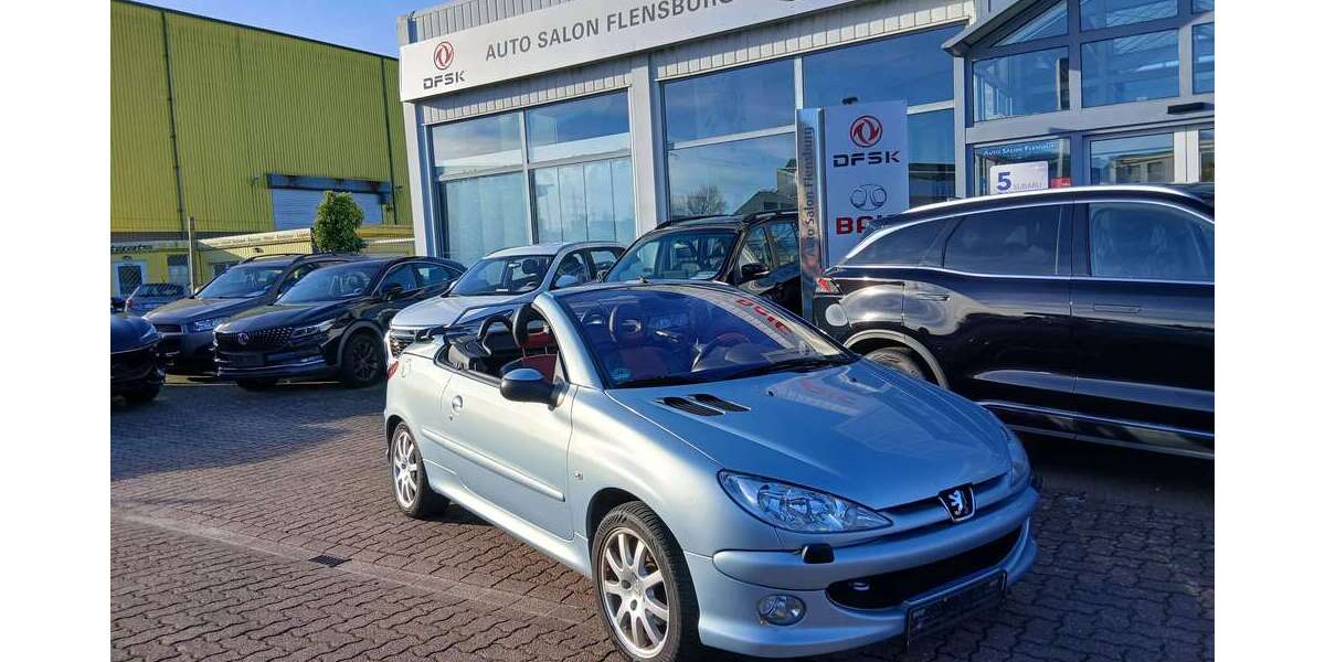 Peugeot 206 165.059 km 2.950 &euro; Flensburg 24941