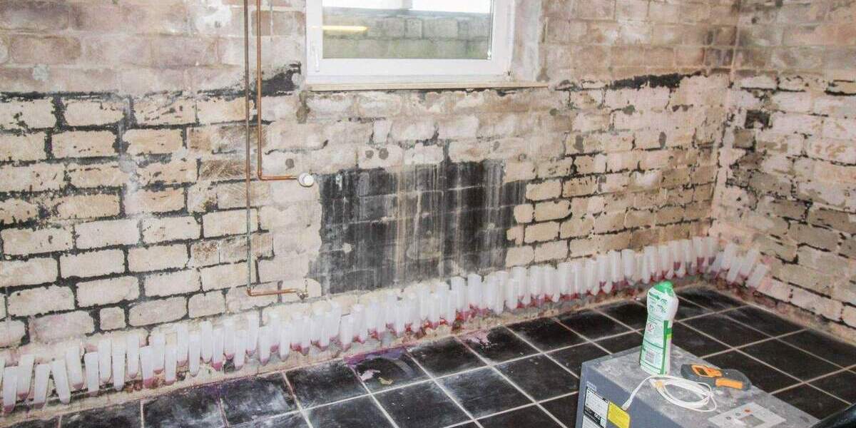 Einfamilienhaus Stolk - 6 Zimmer, 183 m&sup2;, 419.000&euro; | Angebot:25775492