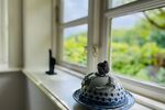 Traumhaftes Reetdach-Ein-Zweifamilienhaus mit parkähnlichem Garten in Angeln - Zweifamilienhaus Scheggerott | Angebot:26565370