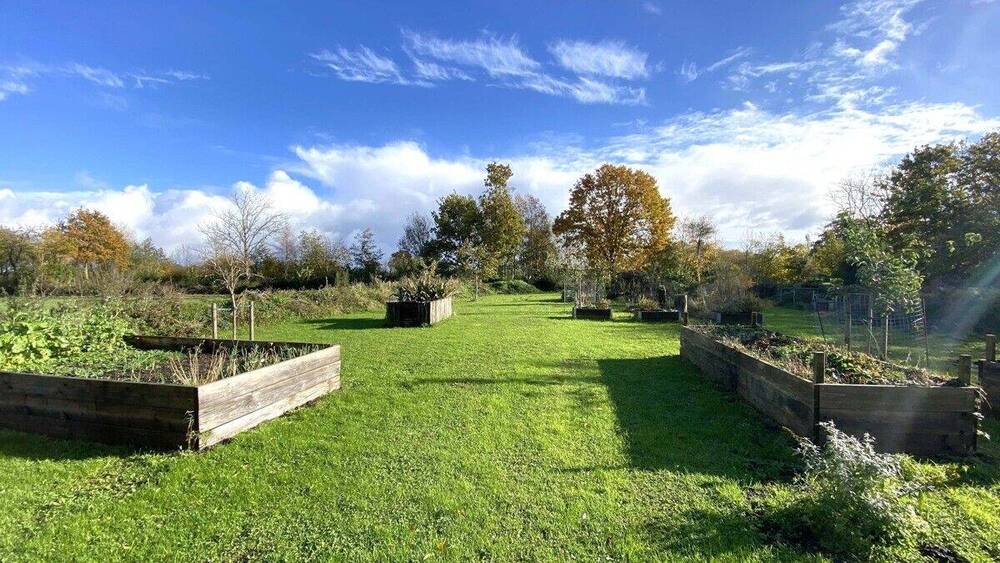 Mehrfamilienhaus, Wohnhaus Dollerup Tiefengruft - 1 Zimmer, 307 m&sup2;, 749.000&euro; | Angebot:25663338