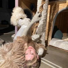 Katzen-Kratz-Traum 08.05.2026 Theaterwerkstatt Pilkentafel