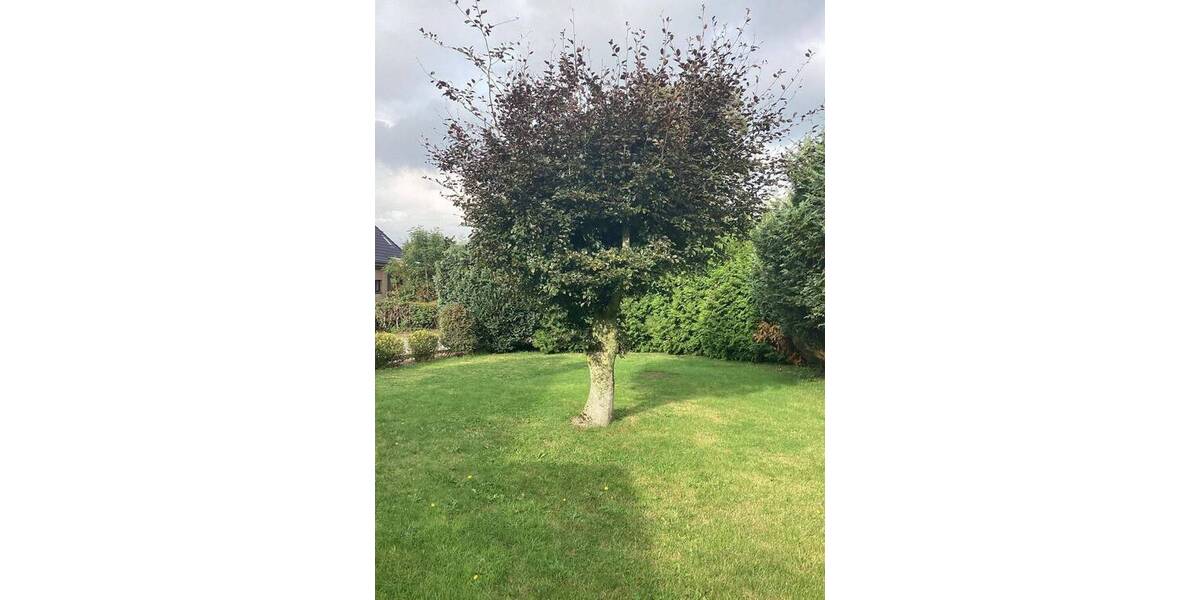 Einfamilienhaus Munkbrarup Rüde - 4 Zimmer, 107 m&sup2;, 275.000&euro; | Angebot:25801649