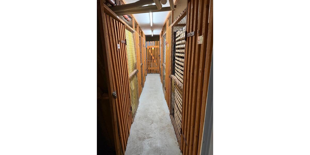 Erdgeschoßwohnung Glücksburg (Ostsee) - 2 Zimmer, 42 m&sup2;, 150.000&euro; | Angebot:25096929