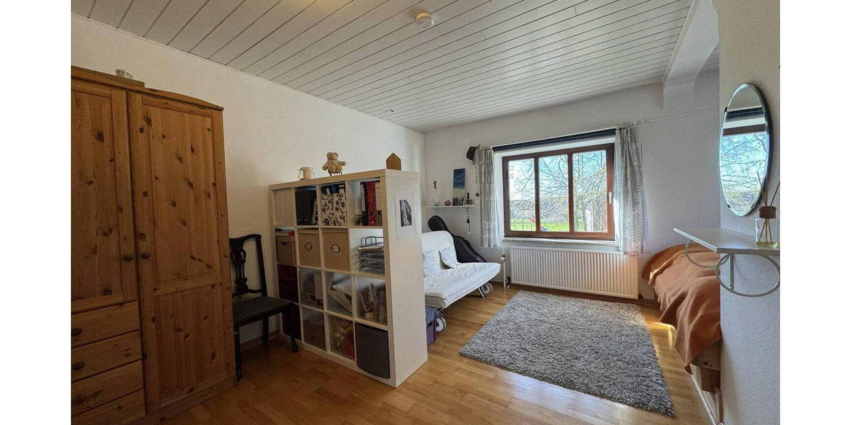 Mehrfamilienhaus, Wohnhaus Niesgrau - 1 Zimmer, 338 m&sup2;, 695.000&euro; | Angebot:26257556