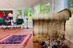Traumhaftes Reetdach-Ein-Zweifamilienhaus mit parkähnlichem Garten in Angeln - Zweifamilienhaus Scheggerott | Angebot:26565370