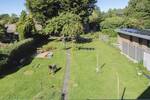 Einfamilienhaus Flensburg Engelsby - 8 Zimmer, 559.000&euro; | Angebot:26435236