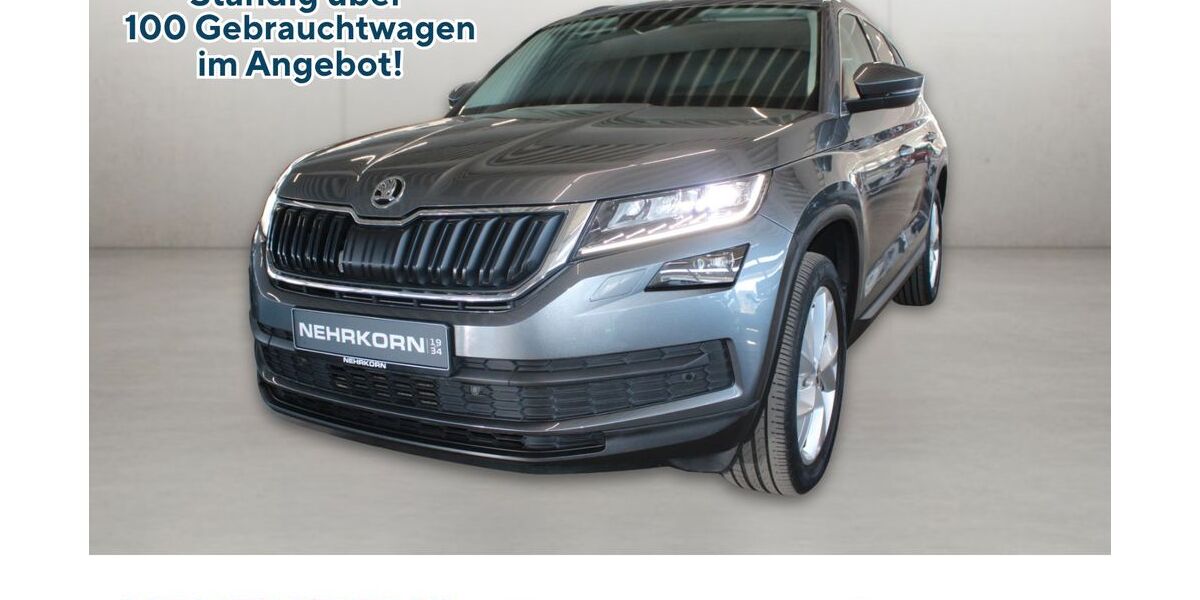 Skoda Kodiaq 100.250 km 24.950 &euro; Flensburg 24941