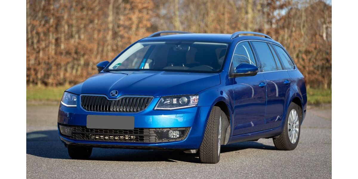 Skoda Octavia 52.500 km 15.690 &euro; Flensburg 24941