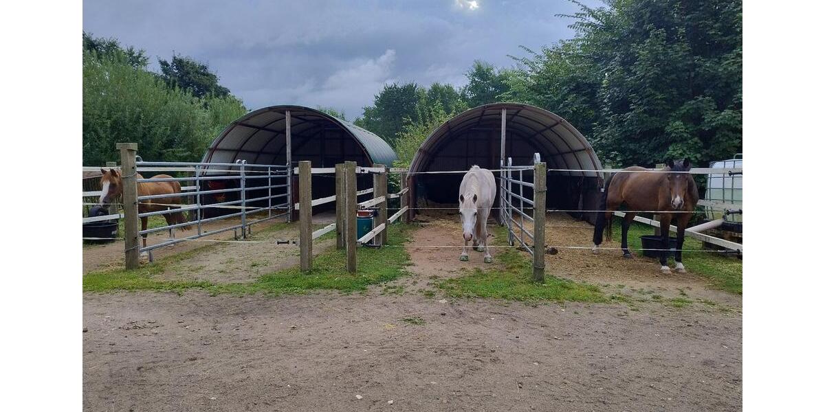 Bauernhaus, Landhaus Handewitt Jarplund - 8 Zimmer, 243 m&sup2;, 2.000.000&euro; | Angebot:24839361