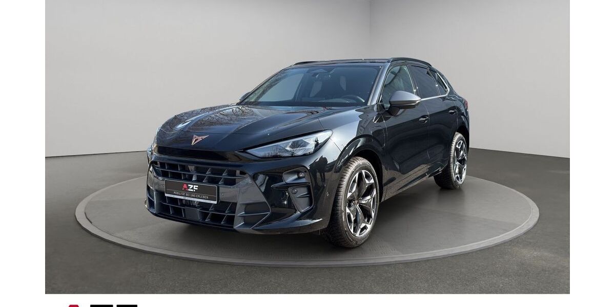 Cupra Terramar 8.000 km 53.990 &euro; Flensburg 24941