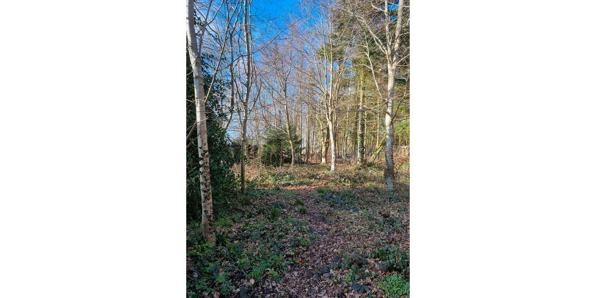 Einfamilienhaus Harrislee - 6 Zimmer, 160 m&sup2;, 445.000&euro; | Angebot:26020811