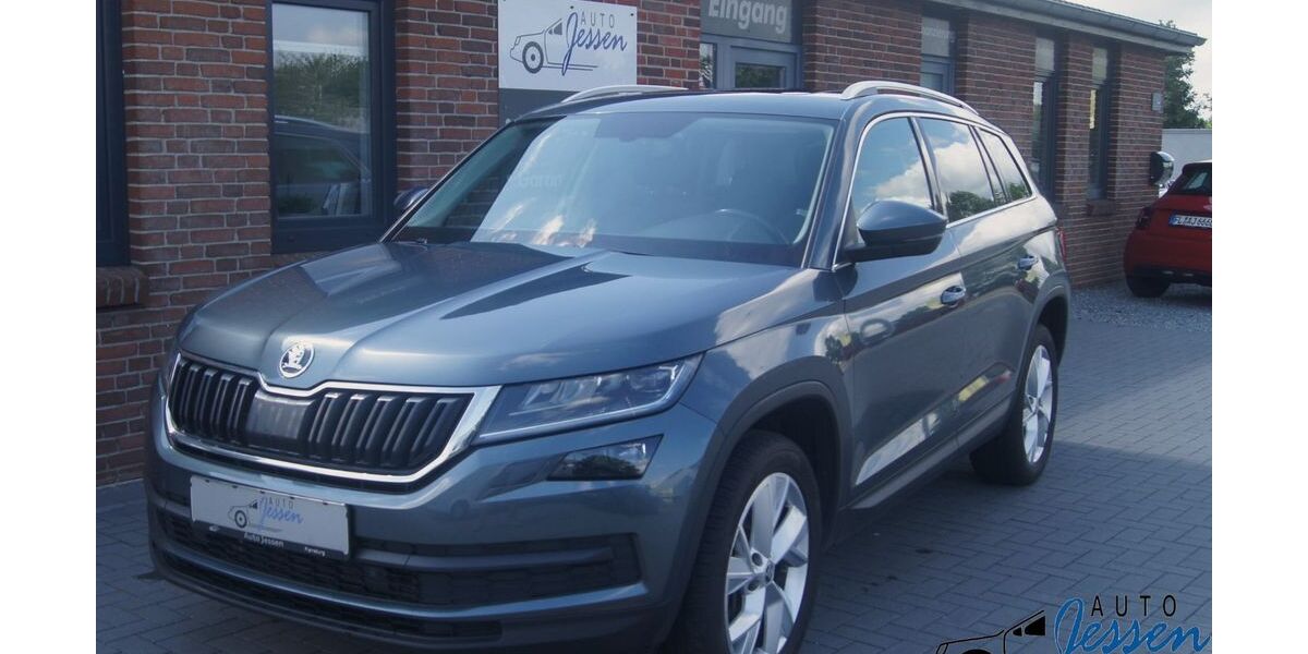 Skoda Kodiaq 192.000 km 19.985 &euro; Flensburg 24941