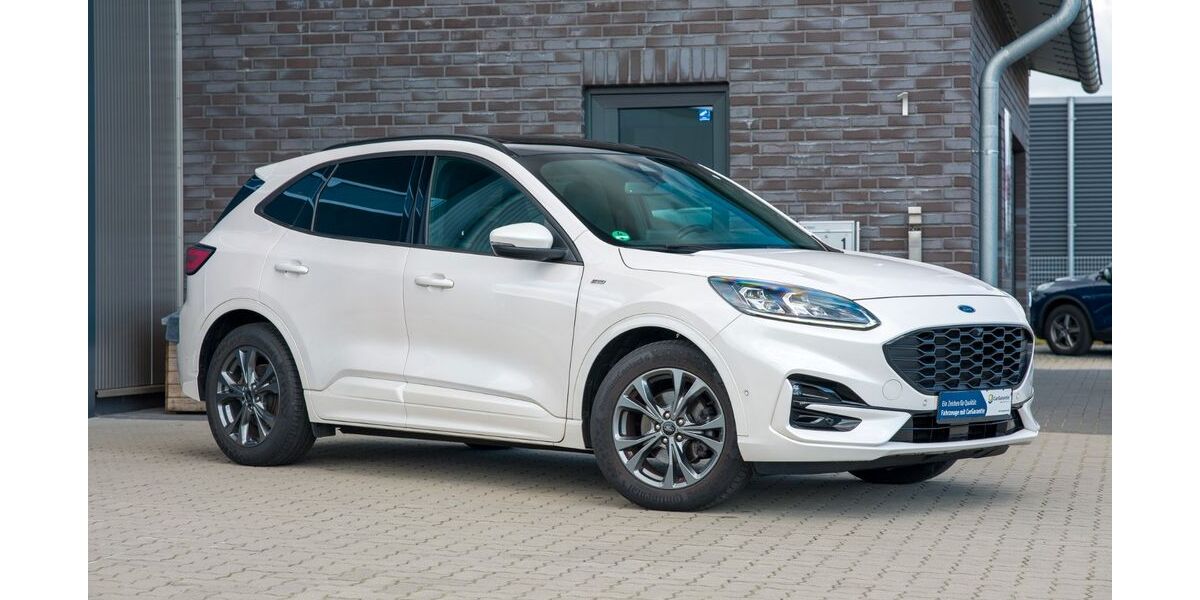 Ford Kuga 99.000 km 18.999 &euro; Handewitt 24983