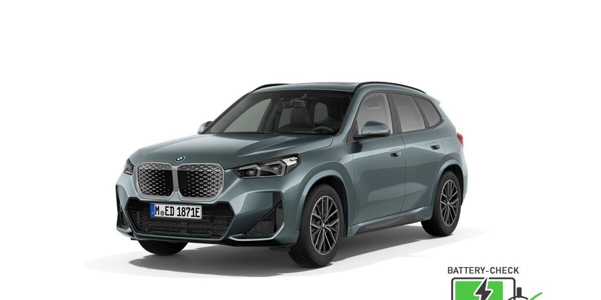 BMW iX1 20.252 km 42.930 &euro; Flensburg 24941