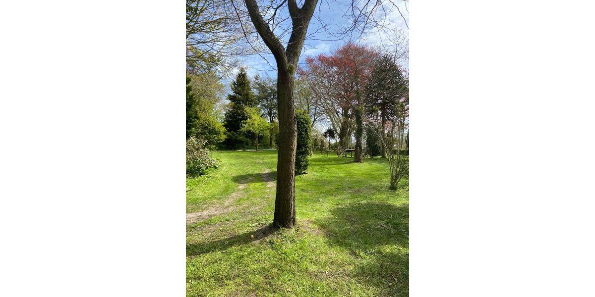 Wer hat Lust auf Natur Entspannung? Wunderschöne EG- Wohnung in Satrup - Appartement Mittelangeln Alt Rehberg | Angebot:26634001